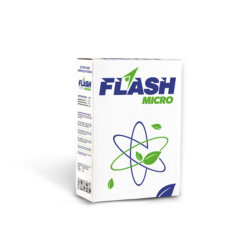 Flash Micro