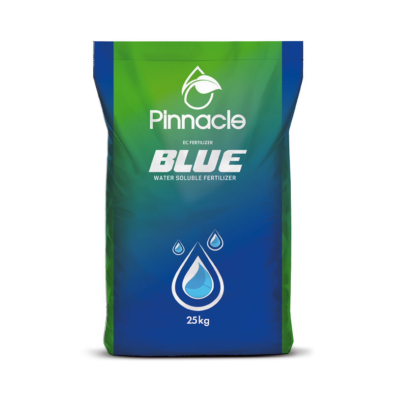 Pinnacle Blue